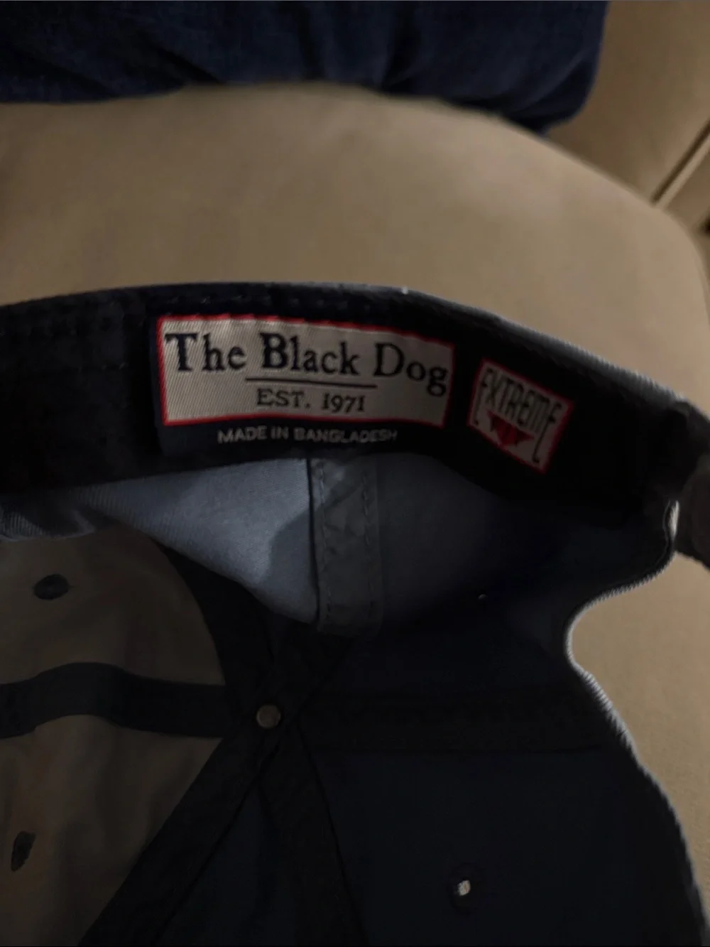 The Black Dog light blue